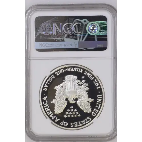 2007 W  ULTRA CAMEO (3)