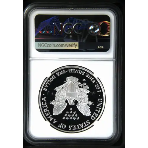 2007 W  ULTRA CAMEO (3)