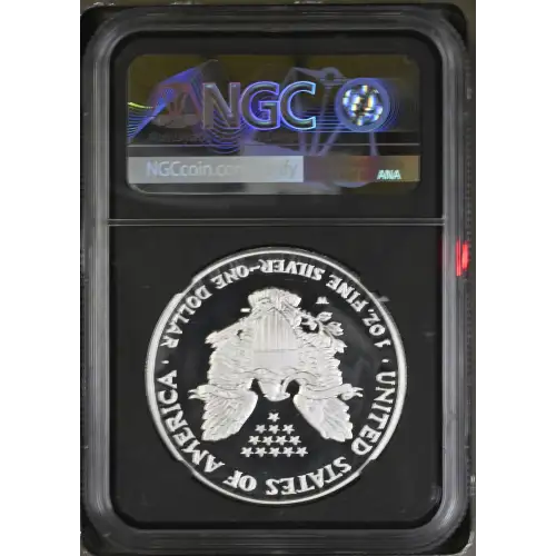 2007 W  ULTRA CAMEO (3)