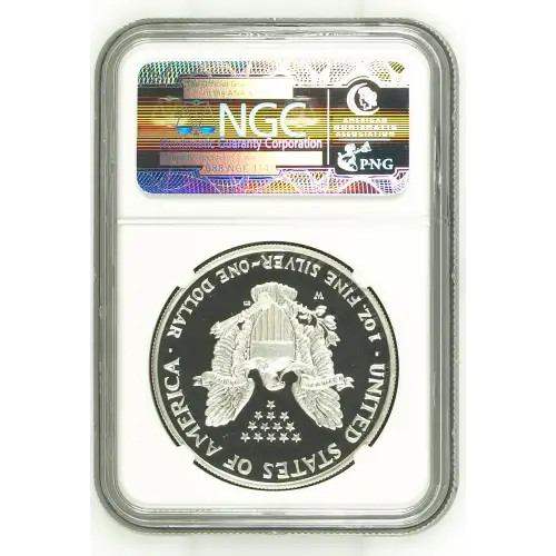 2007 W  ULTRA CAMEO (3)