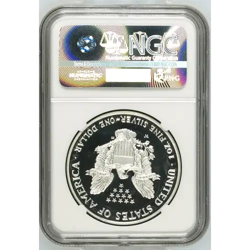 2007 W  ULTRA CAMEO (3)