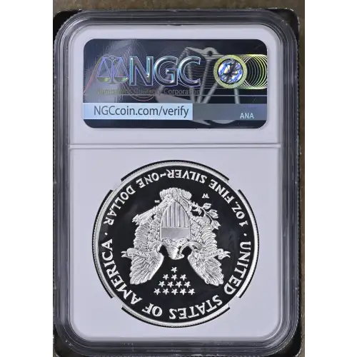 2007 W  ULTRA CAMEO (3)