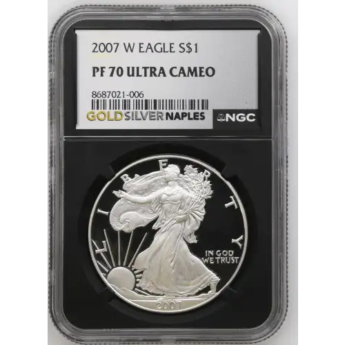 2007 W  ULTRA CAMEO (2)