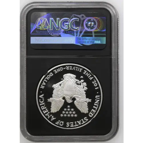 2007 W  ULTRA CAMEO (3)