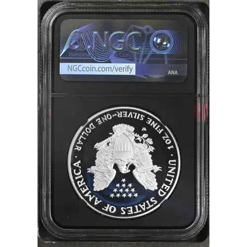 2007 W  ULTRA CAMEO (3)