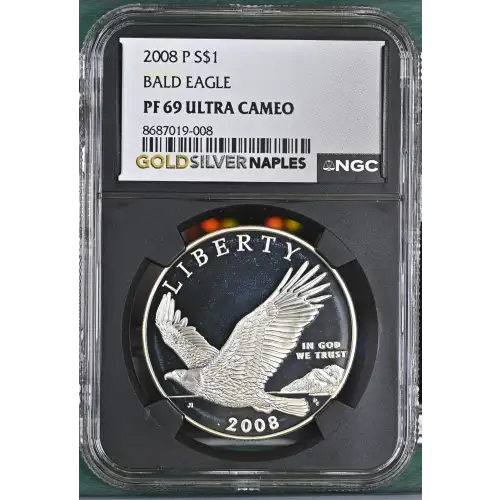 2008 BALD EAGLE ULTRA CAMEO (2)