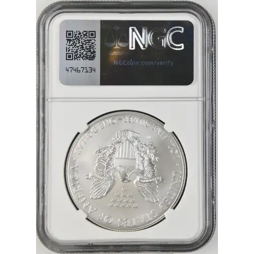 2008 W BURNISHED SILVER EAGLE (3)