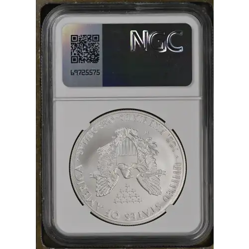 2008 W BURNISHED SILVER EAGLE (3)