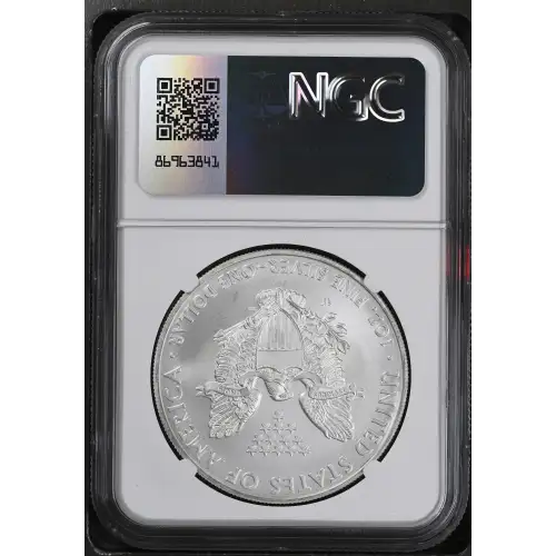 2008 W BURNISHED SILVER EAGLE (3)