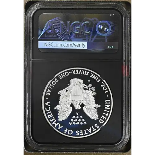 2008 W Silver Eagle S$1 PF 69 UC (2)