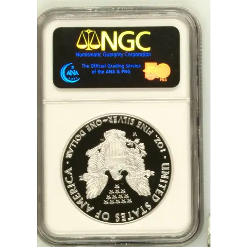 2008 W  ULTRA CAMEO (3)