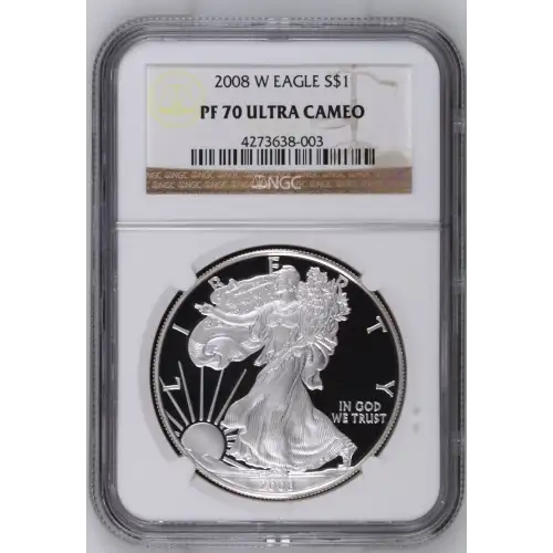 2008 W  ULTRA CAMEO (2)