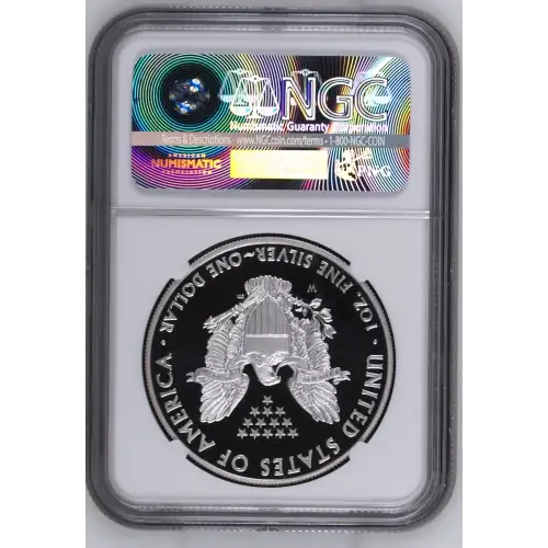 2008 W  ULTRA CAMEO (3)