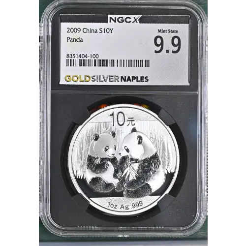 2009 Panda (2)