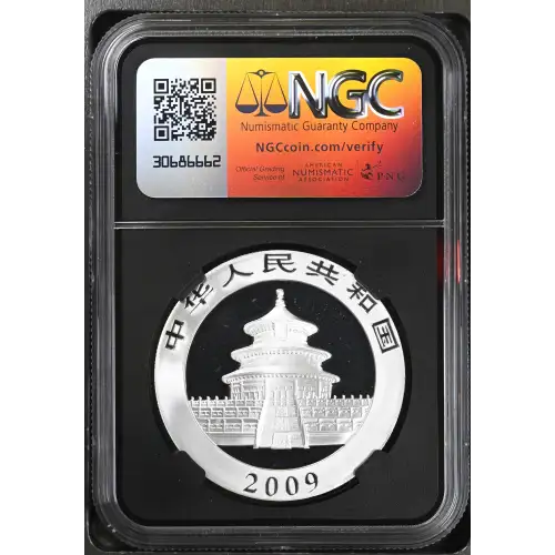 2009 Panda (3)