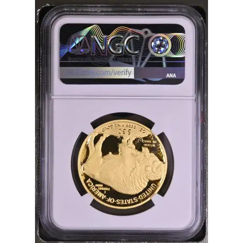 2010 W .9999 FINE ULTRA CAMEO (3)