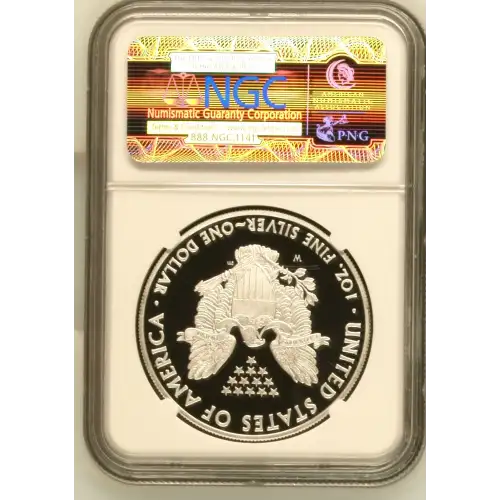 2010 W  ULTRA CAMEO (3)
