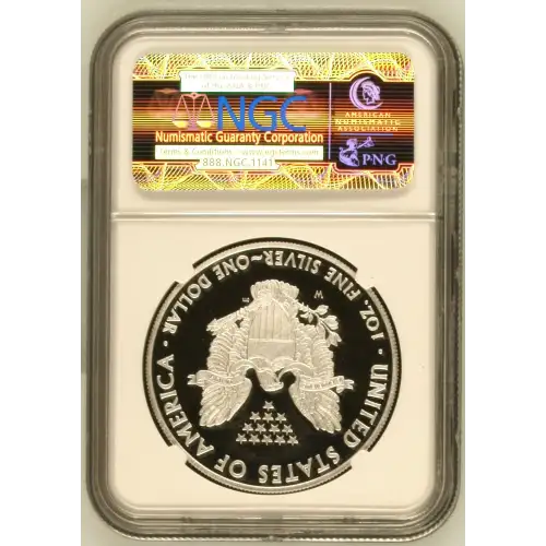 2010 W  ULTRA CAMEO (3)