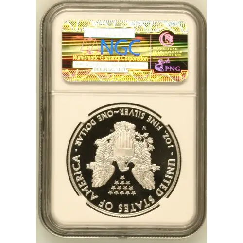 2010 W  ULTRA CAMEO (3)