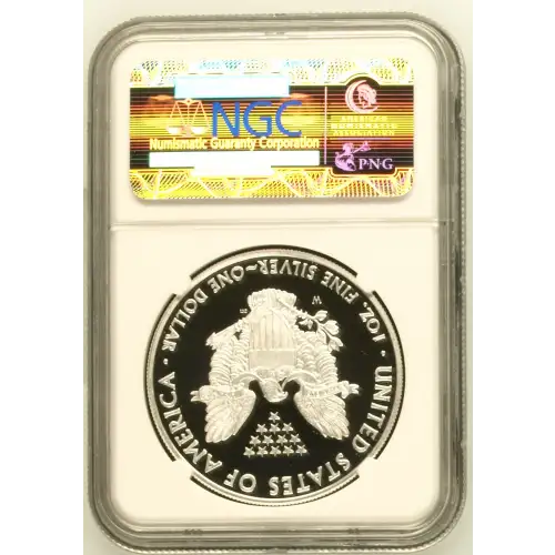 2010 W  ULTRA CAMEO (3)