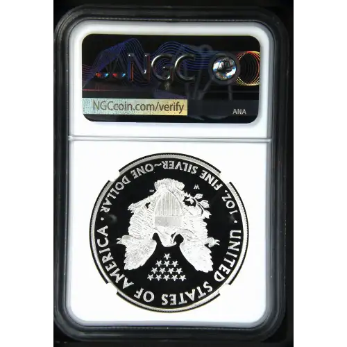 2010 W  ULTRA CAMEO (3)