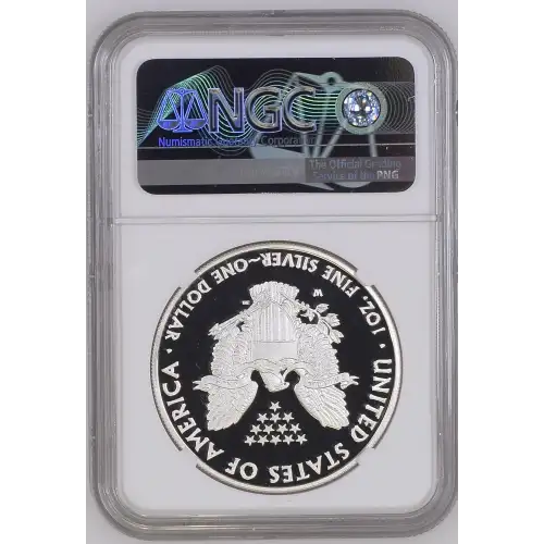 2010 W  ULTRA CAMEO (3)