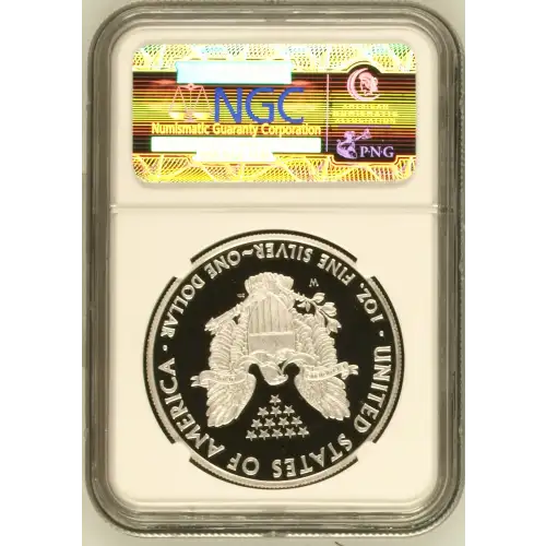 2010 W  ULTRA CAMEO (3)
