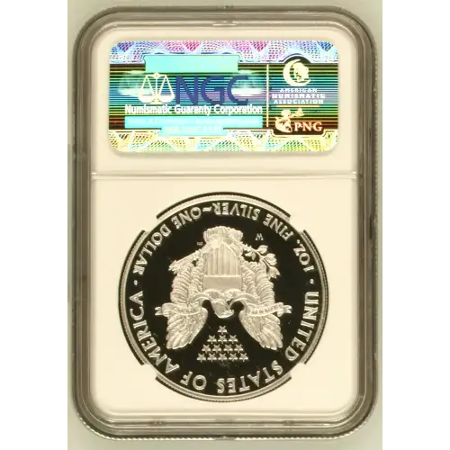 2010 W  ULTRA CAMEO (3)
