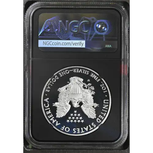 2010 W  ULTRA CAMEO (3)