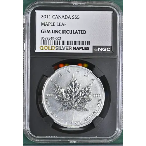 2011 MAPLE LEAF (2)