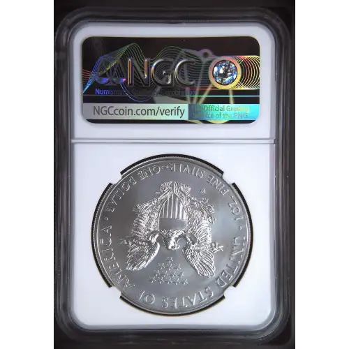 2011 W BURNISHED SILVER EAGLE (3)
