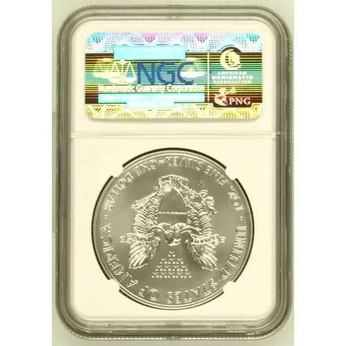 2011 W BURNISHED SILVER EAGLE (3)