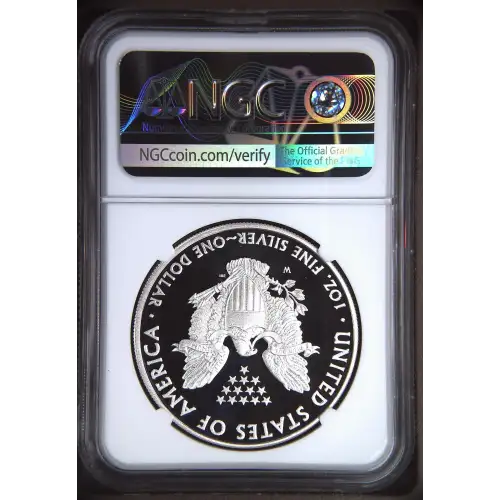 2011 W EAGLE 25TH ANNIVERSARY ULTRA CAMEO (3)