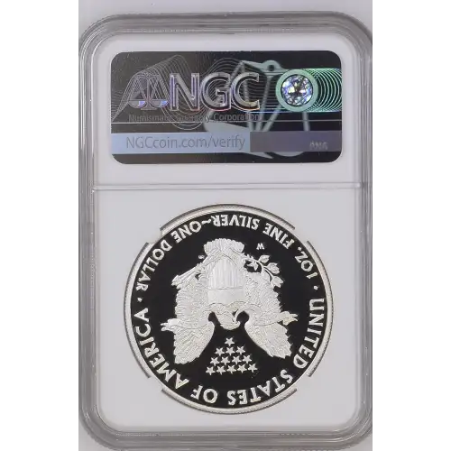 2011 W EAGLE 25TH ANNIVERSARY ULTRA CAMEO (3)