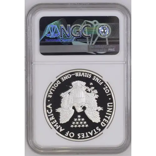 2011 W EAGLE 25TH ANNIVERSARY ULTRA CAMEO (3)