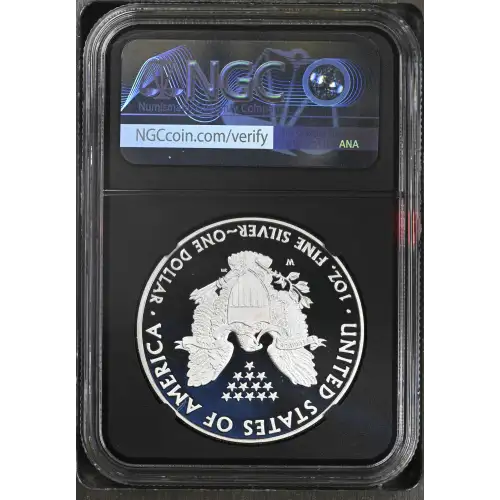 2011 W EAGLE 25TH ANNIVERSARY ULTRA CAMEO (3)