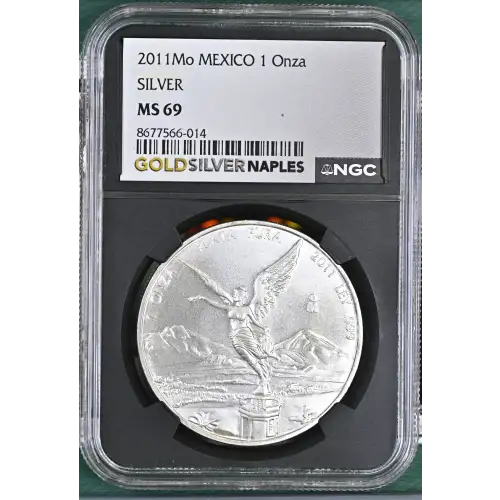 2011Mo SILVER (2)