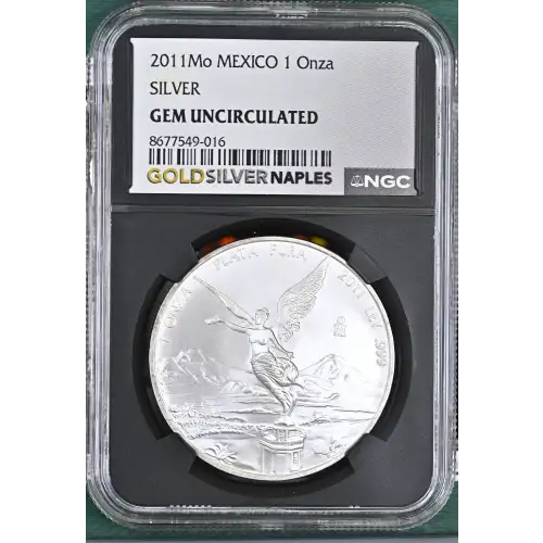 2011Mo SILVER (2)