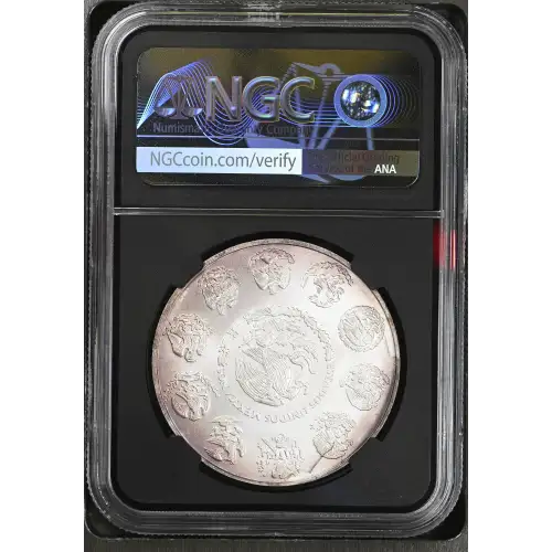 2011Mo SILVER (3)