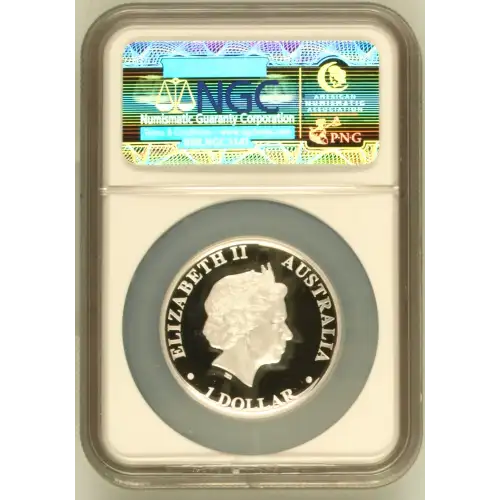 2011P Kangaroo High Relief ULTRA CAMEO (3)