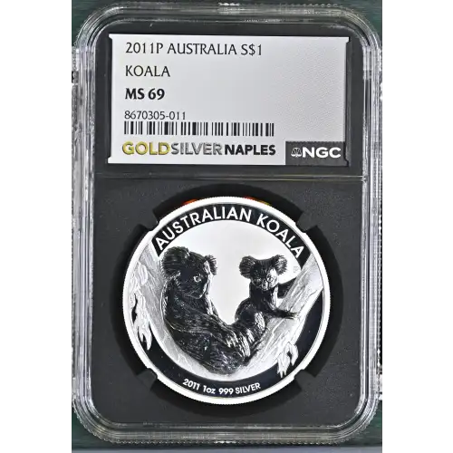 2011P Koala (2)