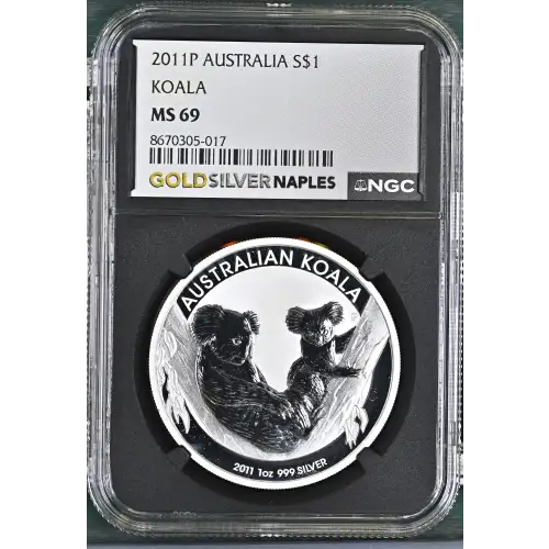 2011P Koala (2)