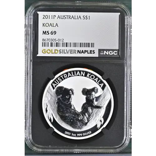 2011P Koala (2)
