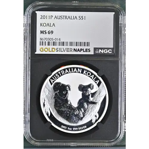 2011P Koala (2)