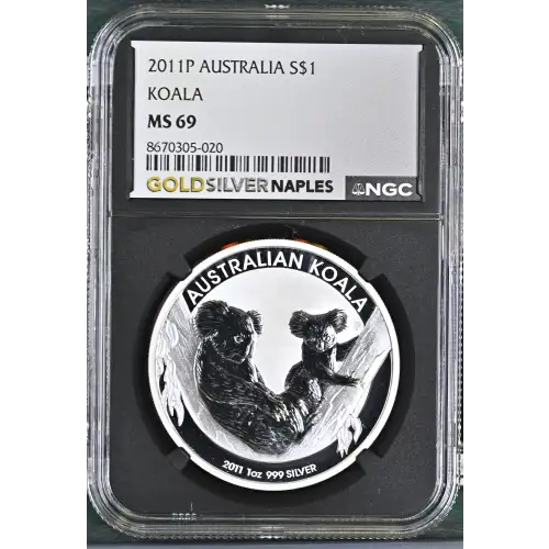 2011P Koala (2)
