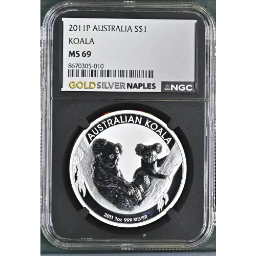 2011P Koala (2)