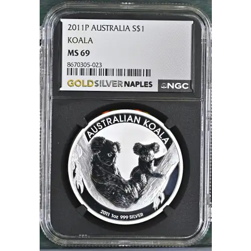 2011P Koala (2)