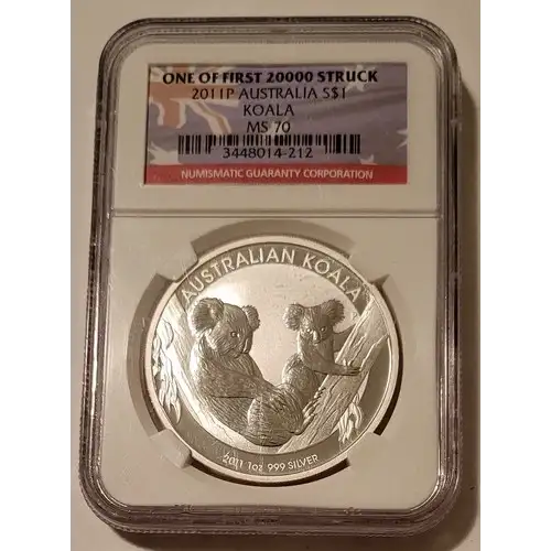 2011P Koala