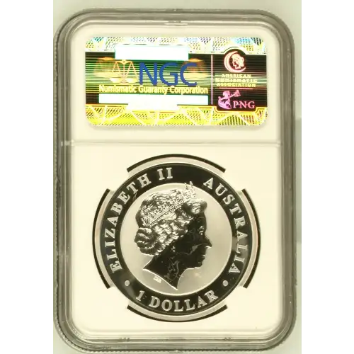 2011P Koala (3)