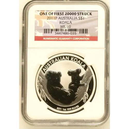 2011P Koala (2)